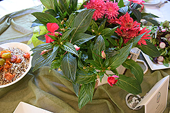 TIMELESS TACOMA TREASURES